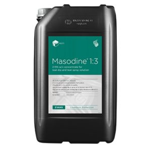 masodine-1-3