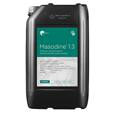 masodine-1-3