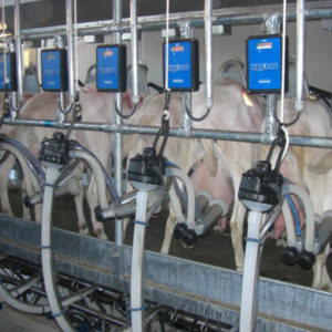 Γαλακτοκομικά - Αρμεκτικά